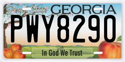 GA license plate PWY8290