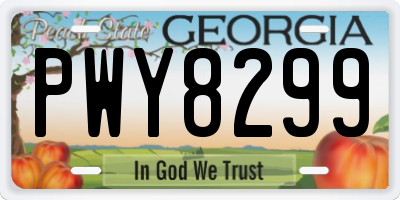 GA license plate PWY8299