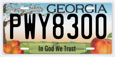 GA license plate PWY8300