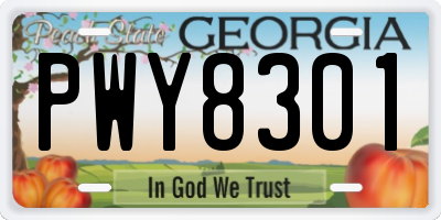 GA license plate PWY8301