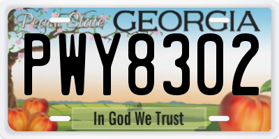 GA license plate PWY8302