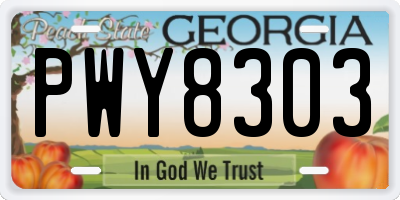 GA license plate PWY8303