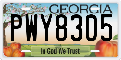 GA license plate PWY8305