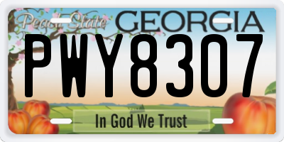 GA license plate PWY8307