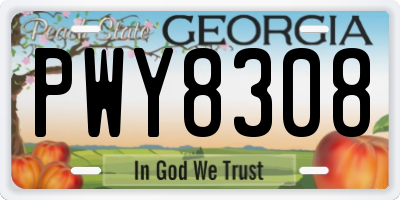 GA license plate PWY8308