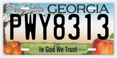 GA license plate PWY8313