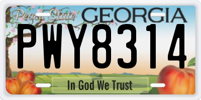 GA license plate PWY8314