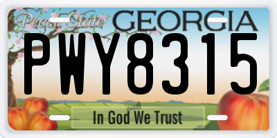 GA license plate PWY8315