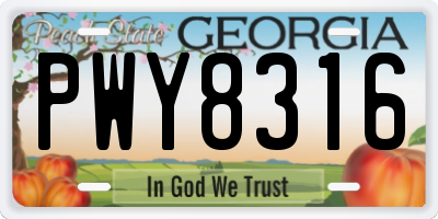 GA license plate PWY8316