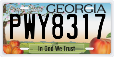 GA license plate PWY8317