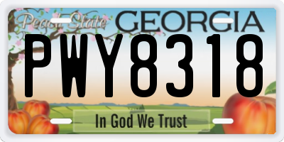 GA license plate PWY8318