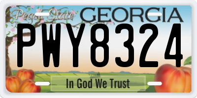GA license plate PWY8324