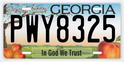 GA license plate PWY8325