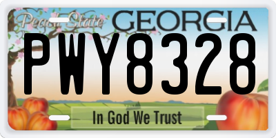 GA license plate PWY8328