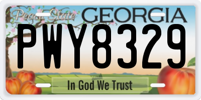 GA license plate PWY8329