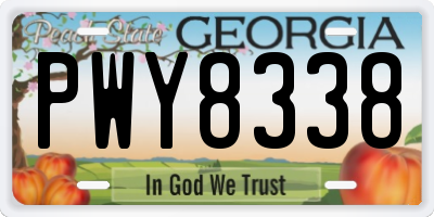GA license plate PWY8338
