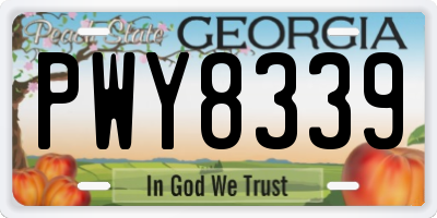 GA license plate PWY8339