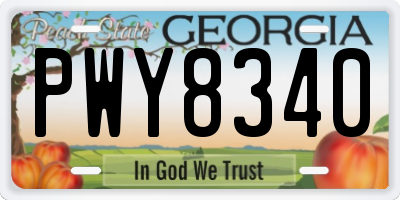 GA license plate PWY8340