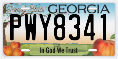 GA license plate PWY8341