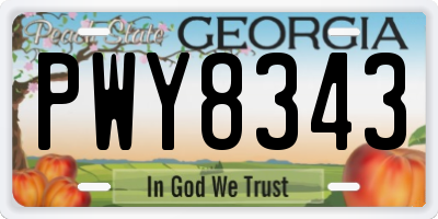 GA license plate PWY8343
