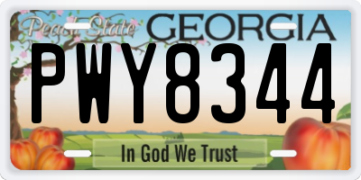 GA license plate PWY8344