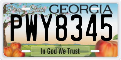 GA license plate PWY8345