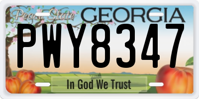 GA license plate PWY8347