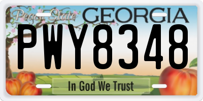 GA license plate PWY8348