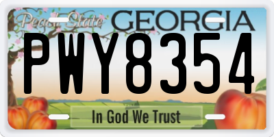 GA license plate PWY8354