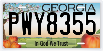 GA license plate PWY8355