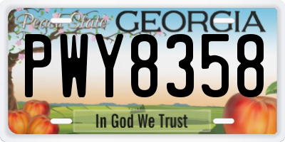 GA license plate PWY8358