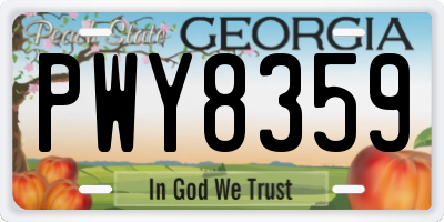 GA license plate PWY8359