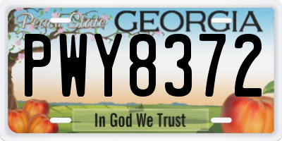 GA license plate PWY8372