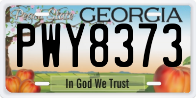 GA license plate PWY8373