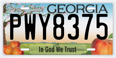 GA license plate PWY8375