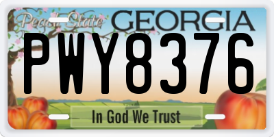 GA license plate PWY8376
