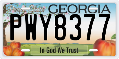 GA license plate PWY8377