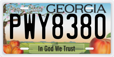GA license plate PWY8380