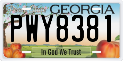 GA license plate PWY8381
