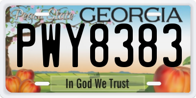 GA license plate PWY8383