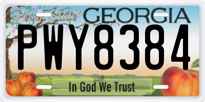 GA license plate PWY8384
