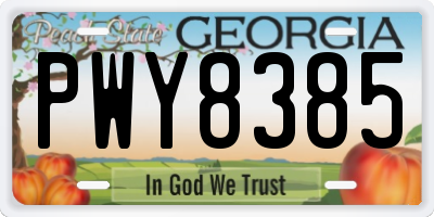 GA license plate PWY8385