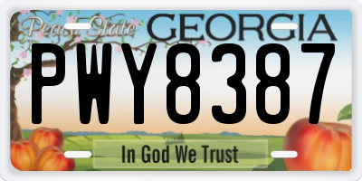 GA license plate PWY8387