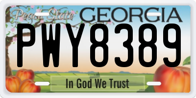 GA license plate PWY8389
