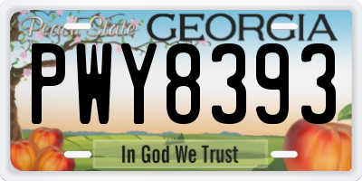 GA license plate PWY8393