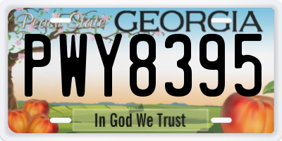 GA license plate PWY8395