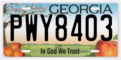 GA license plate PWY8403