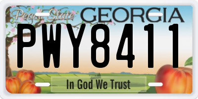 GA license plate PWY8411