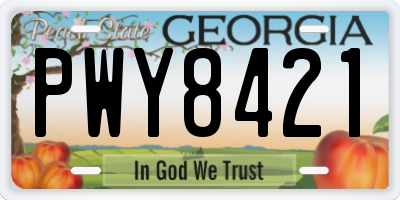 GA license plate PWY8421