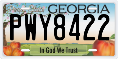 GA license plate PWY8422